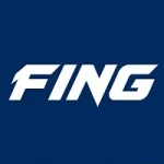 Fing